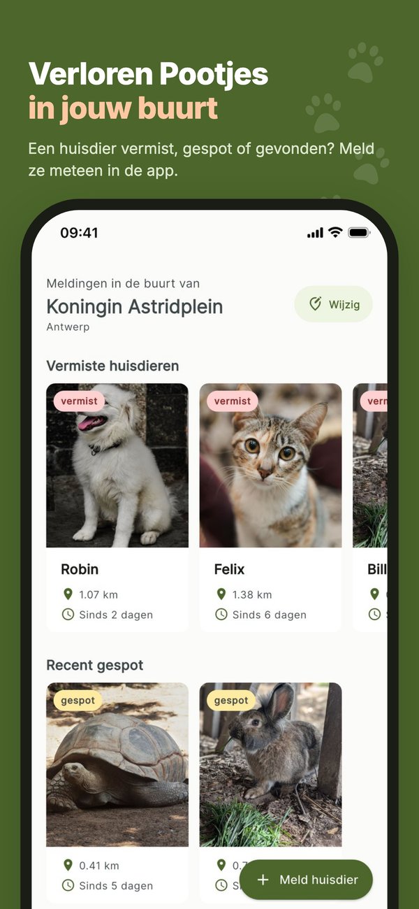 Lost Paws (2026) screenshot