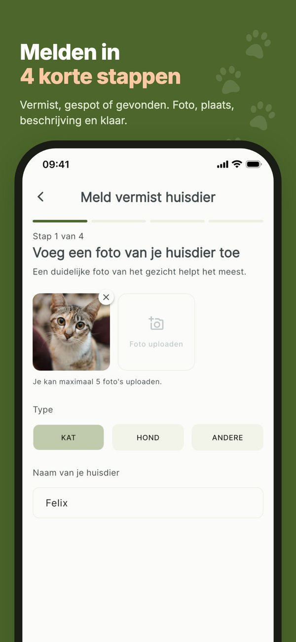 Lost Paws (2026) screenshot