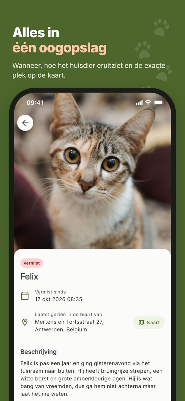 Lost Paws (2026) screenshot